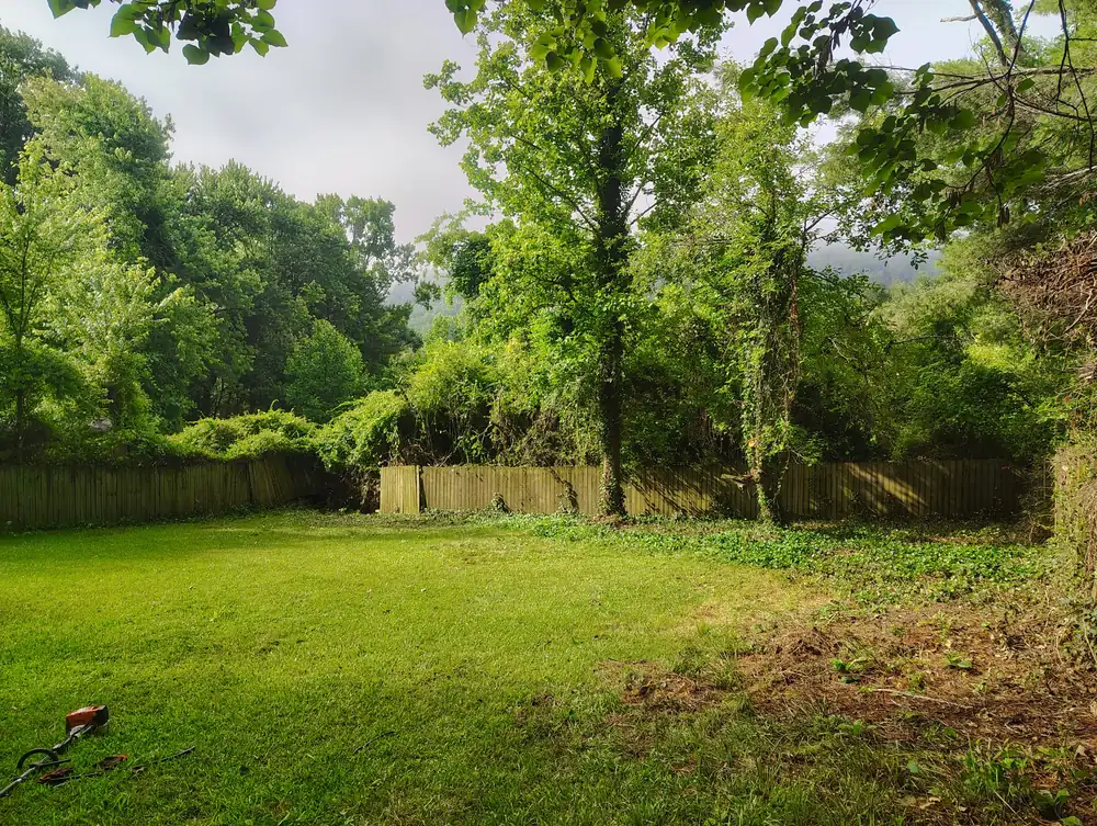 Yard cleanup completed by Ruben's Landscaping in Asheville, NC