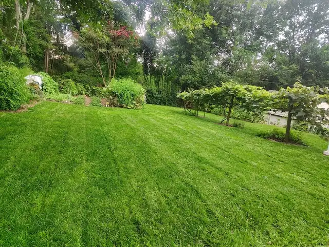 Garden after restoration, Asheville NC