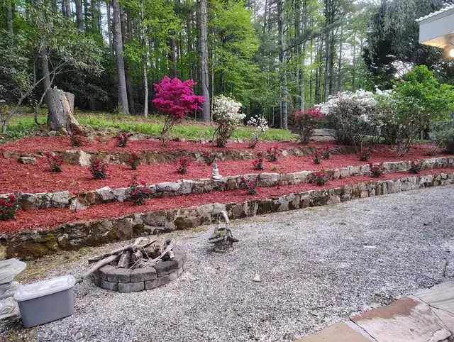 Terraced garden after restoration with fresh mulch and roses, Asheville NC