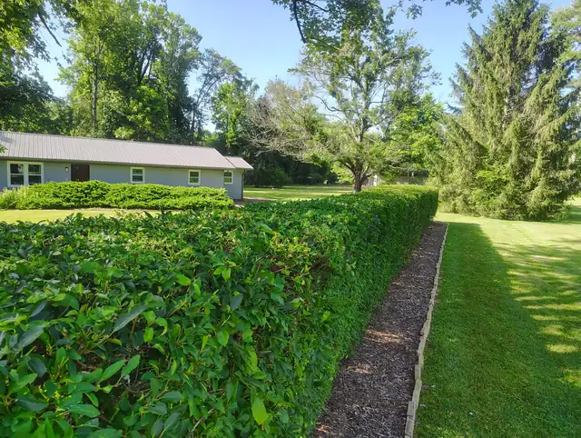 Hedge trimmed into a clean line along a mulch bed in Asheville, NC