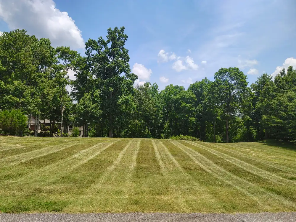 Freshly mowed striped lawn maintained by Ruben's Landscaping in Asheville, NC