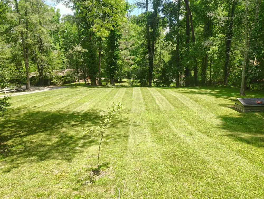 Mowed lawn with clean stripes in Asheville, NC