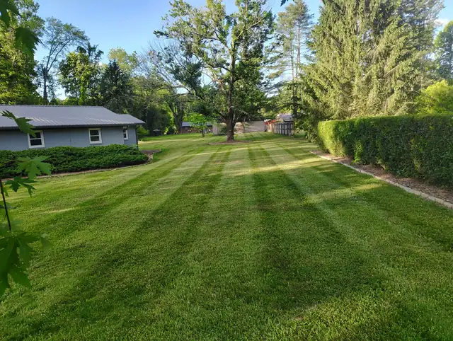 Lawn care service result in Asheville NC