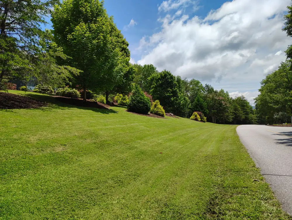 Mulch bed installed around trees by Ruben's Landscaping in Asheville, NC