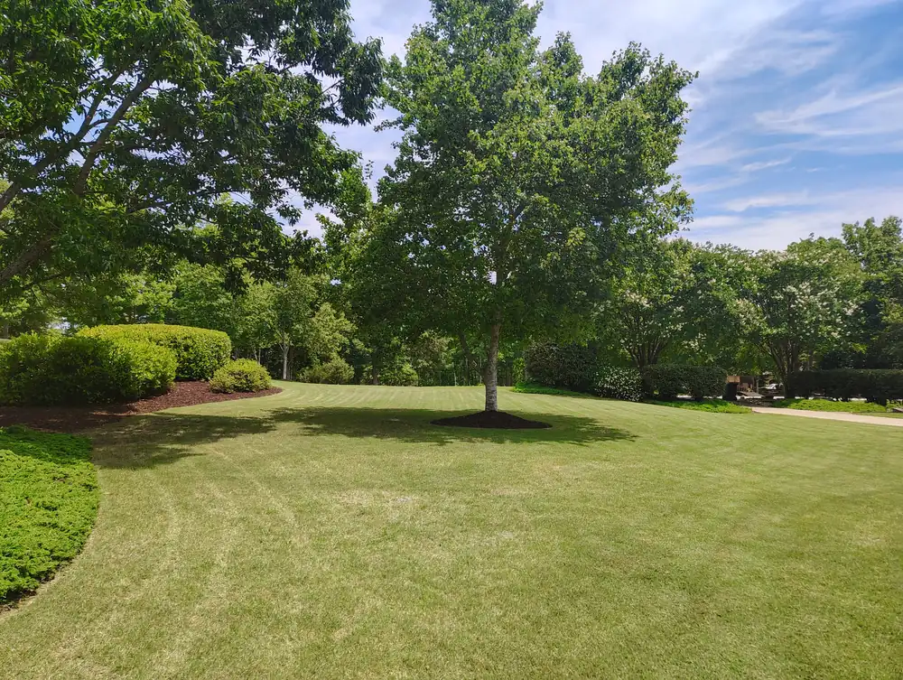 Fresh mulch installed around garden bed in Asheville, NC