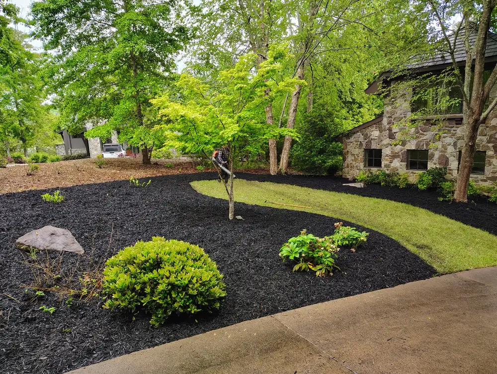 Mulch installation result around trees in Asheville NC