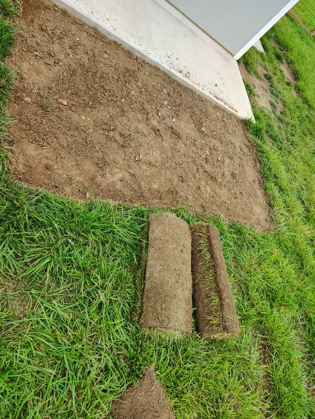 Fresh sod rolls laid down on a lawn in Asheville NC